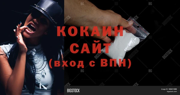 дживик Гусев