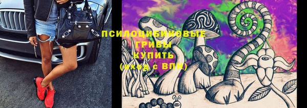 дживик Гусев