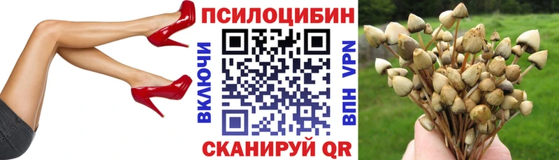 Купить  Сатка  Галлюциногенные грибы GOLDEN TEACHER 